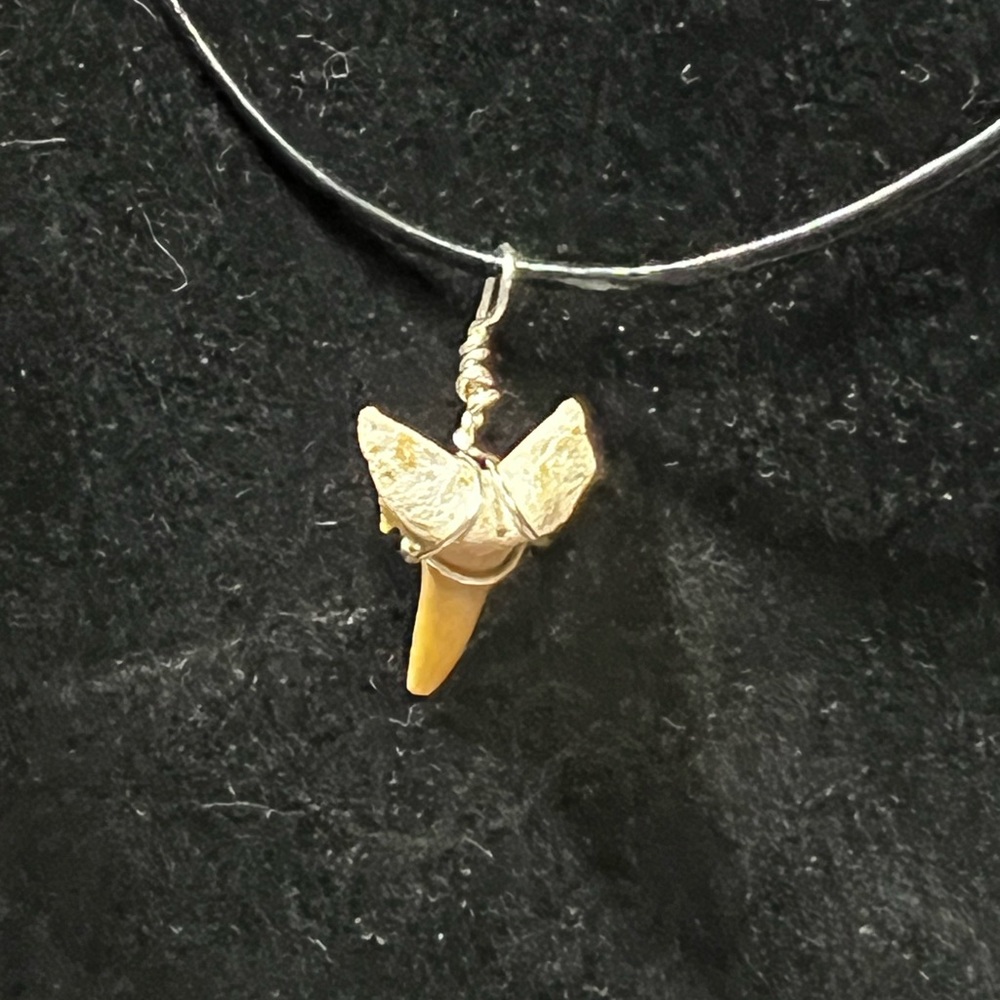 Vintage Sharks tooth pendant